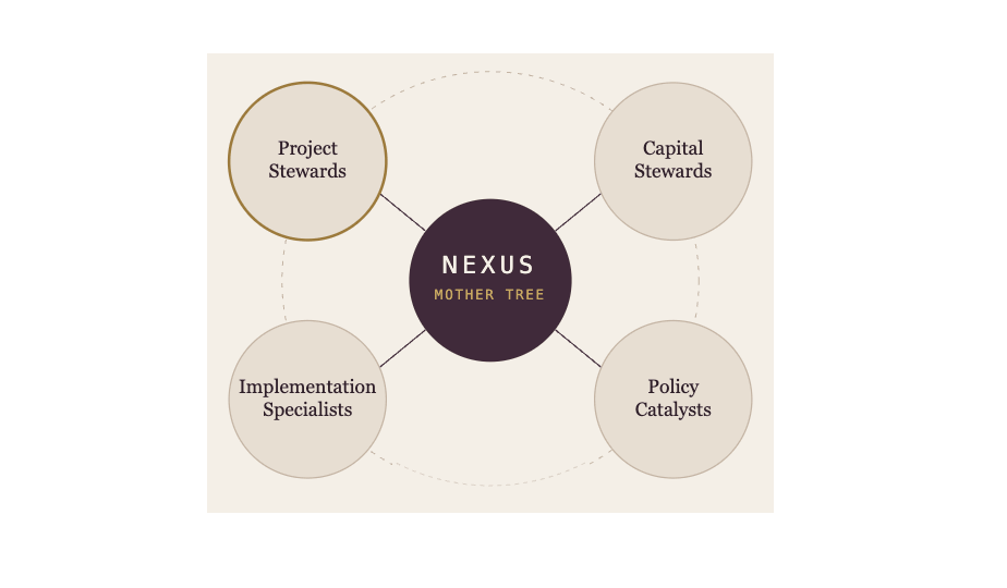 Nexus at center, connected to Project Stewards, Capital Stewards, Implementation Specialists, and Policy Catalysts, surrounded by the Field of Regenerative Living Enthusiasts