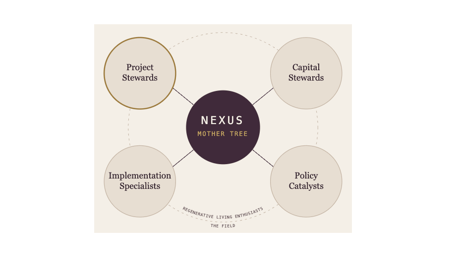Nexus at center, connected to Project Stewards, Capital Stewards, Implementation Specialists, and Policy Catalysts, surrounded by the Field of Regenerative Living Enthusiasts