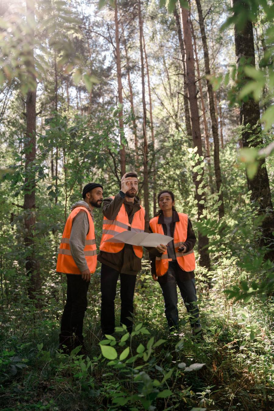 Project team reviewing plans in the field