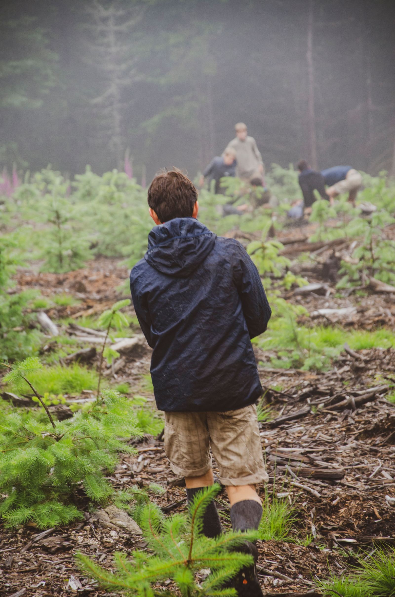 Team surveying a project site in the forest